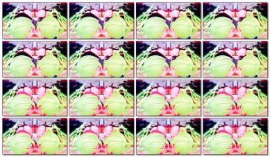 evermilk シュポシュポetc 2025ミニ動画集2番