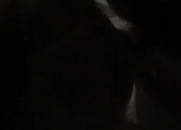 好好舔哦乖狗狗