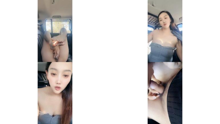 精品熟女ai小米粒极品身材 全身都是宝 和大叔户外车震 超强自慰 高潮喷水