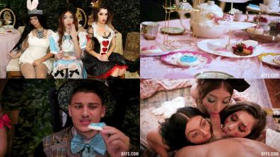 Wild Times in Wonderland