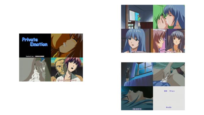 Private_Emotion_第二章_夢の終わりに_中文字幕
