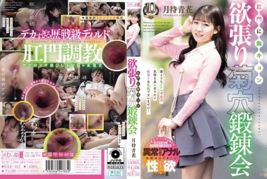 肛门令人心动 贪婪菊穴锻炼会 月待青花